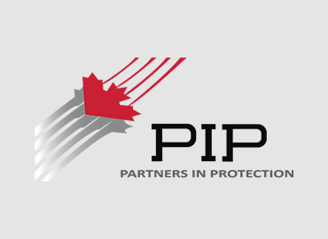 pip Image